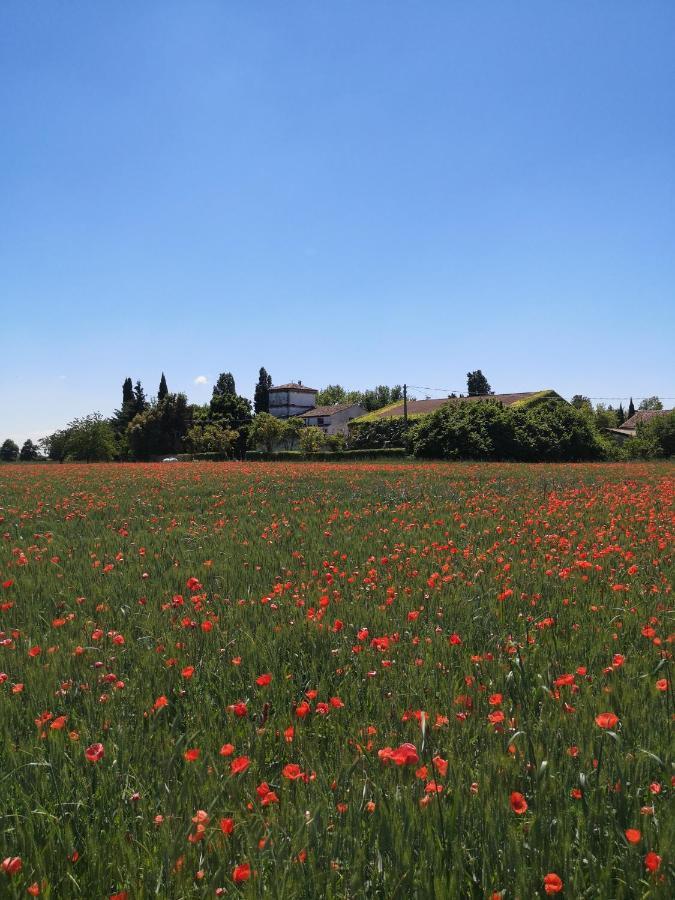 Agriturismo Corte Spino Villa Nogarole Rocca Exterior foto