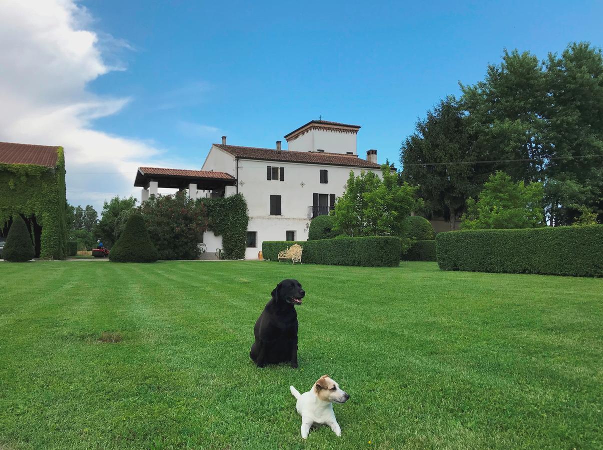 Agriturismo Corte Spino Villa Nogarole Rocca Exterior foto